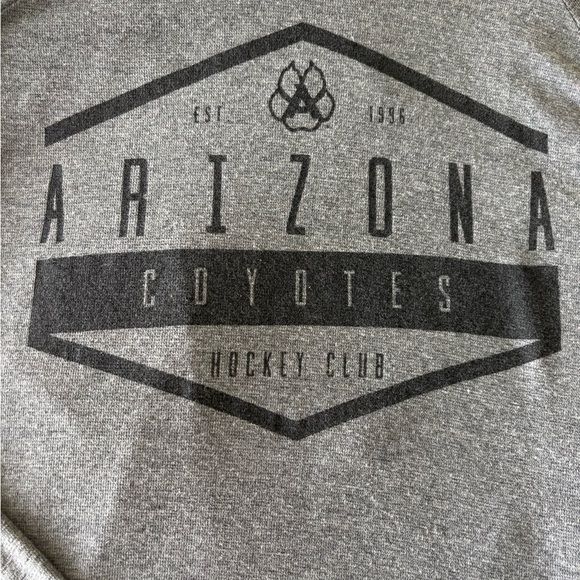 Arizona Coyotes Gray Sweatshirt - Picture 1 of 3